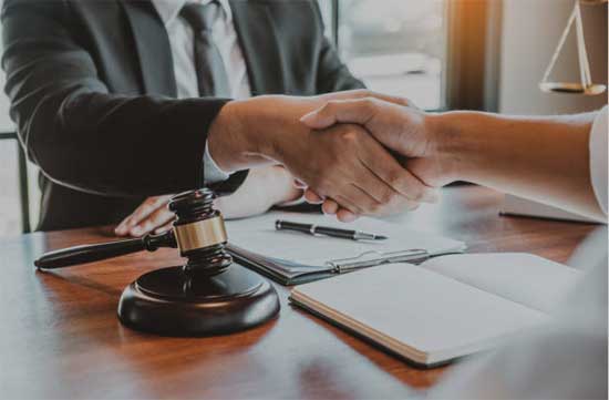 Professional Lawyer