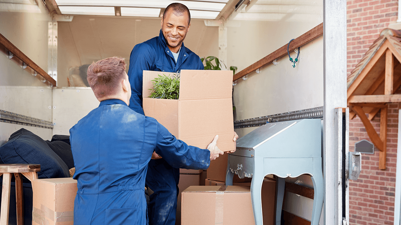 Moving Company 